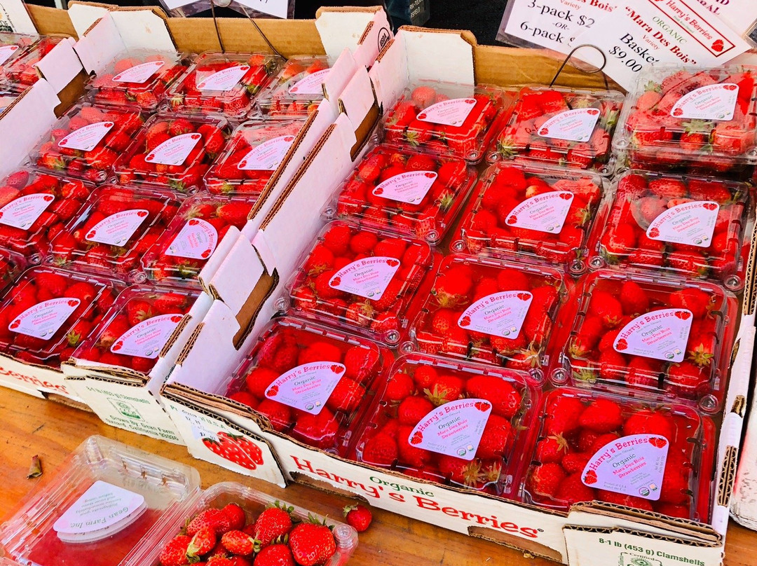 圣莫妮卡农贸市场-圣莫尼卡必去景点