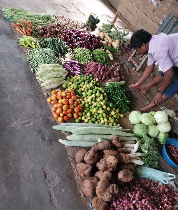 Jaffna Market-贾夫纳必去景点