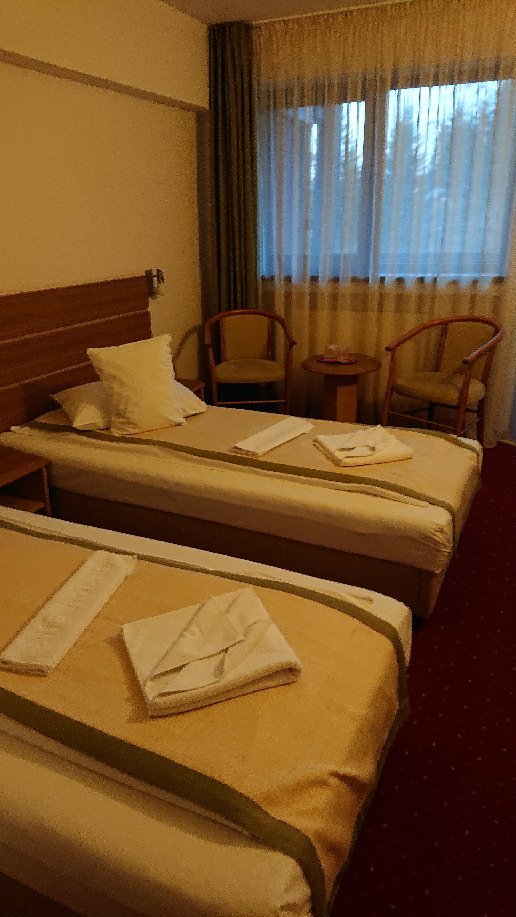Hotel Carpati-官方
