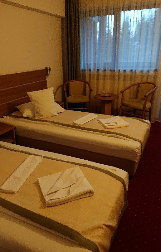 Hotel Carpati主图