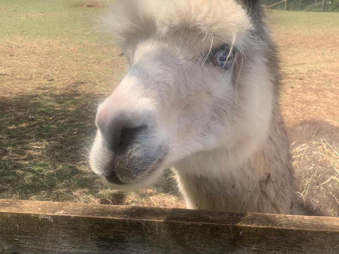 Guide Falls Farm-West Ridgley必去景点