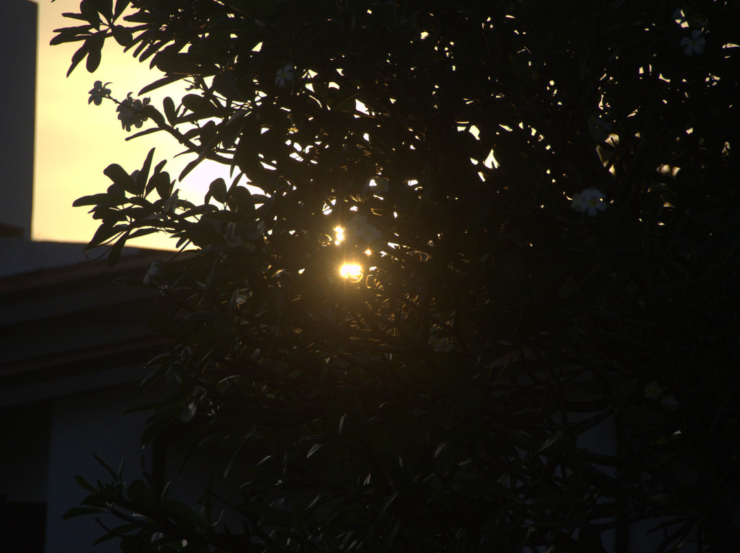 齐塔拉度假村主图