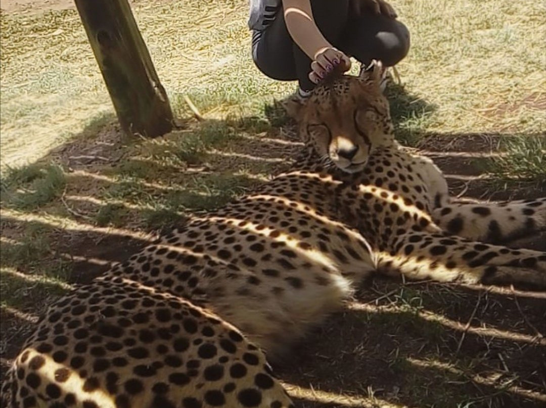 SIGNORE & SIGNORI-约翰内斯堡必去景点