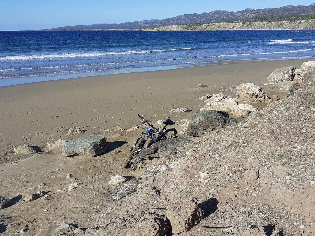 Wheelie Cyprus-城邦必去景点