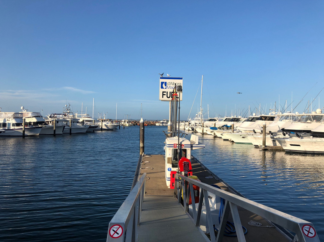 Nelson Bay-尼尔森湾必去景点