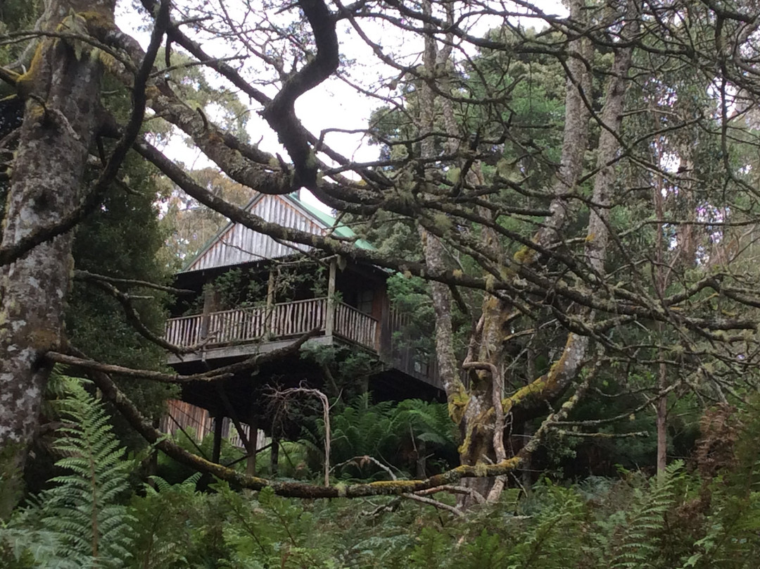 Lemonthyme Wilderness Retreat主图