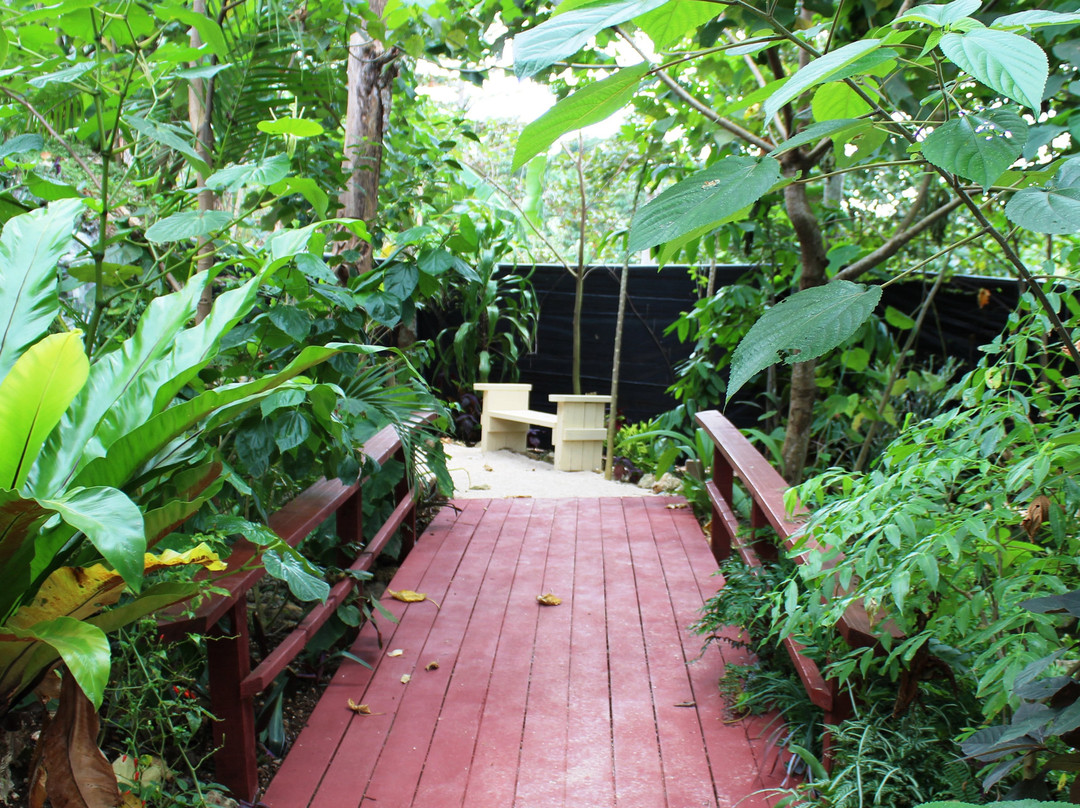 Rainbow Parrot Nature Park-维拉港必去景点