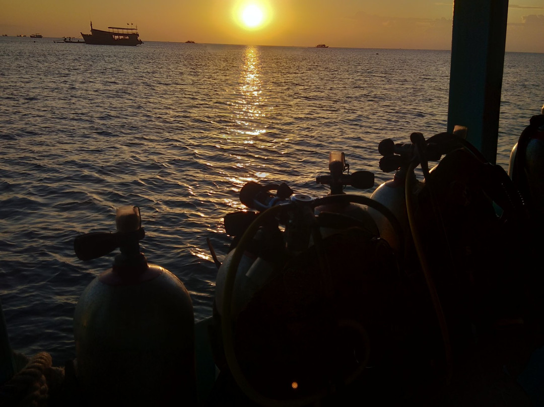 Mojo Divers-涛岛必去景点