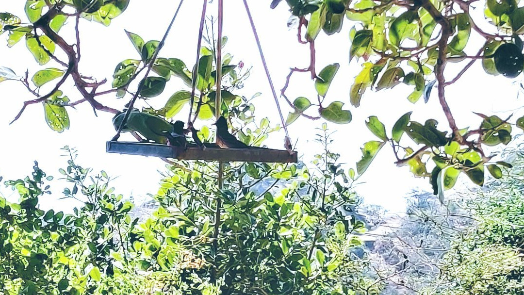 Adinath Mandir Jain Temple-Jamnagar必去景点