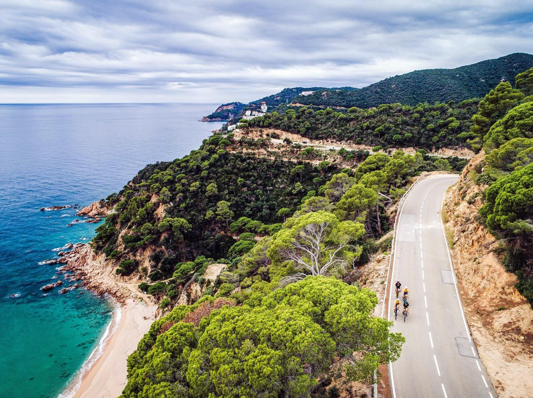 Catalonia Bike Tours景点图片