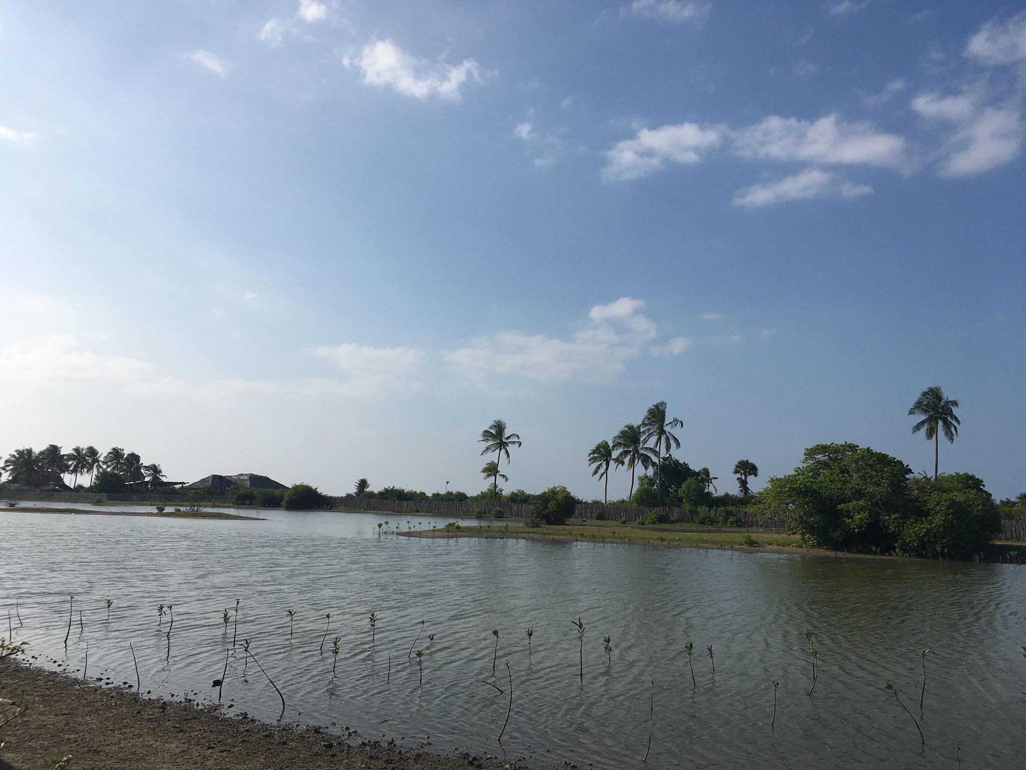 Ceylon Kite Ranch Bungalows-酒店景观