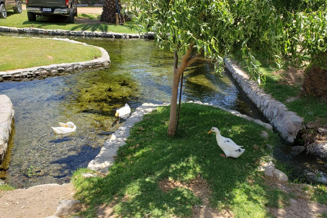 Hotel Vertientes de Elqui主图