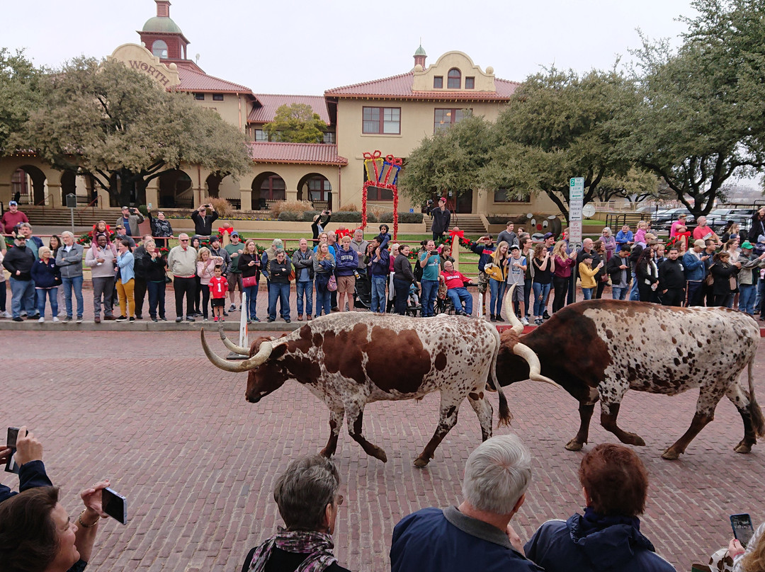 Exchange Avenue-沃思堡必去景点