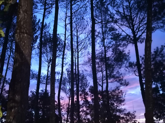 Kartika Tour Yogyakarta-Yogyakarta必去景点