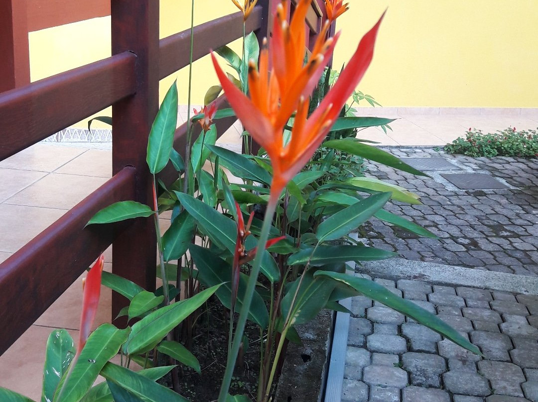 Pousada Cachadaco主图