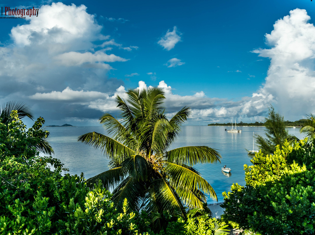 棕榈滩酒店主图