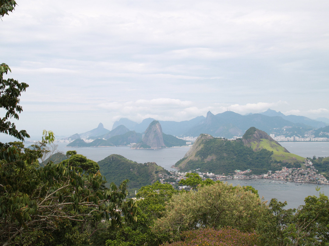 Parque da Cidade景点图片