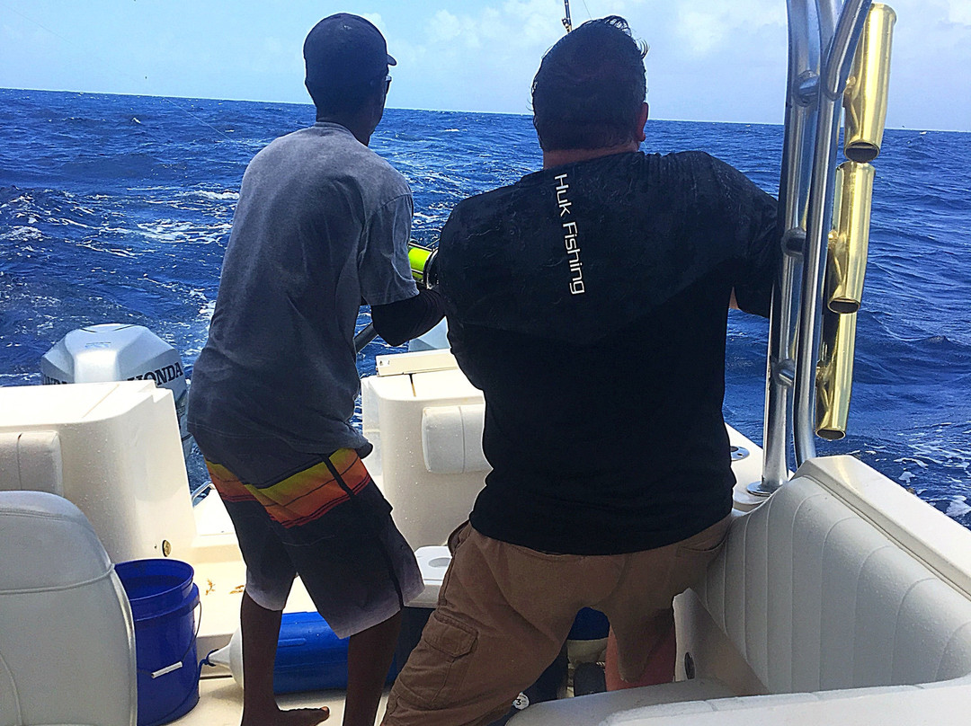 Salt Cay Whale Adventures-Salt Cay必去景点