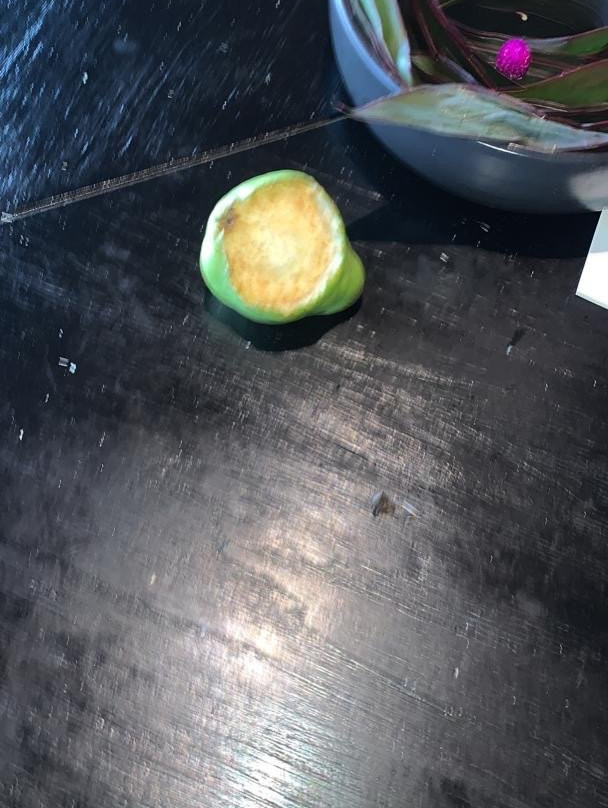 巴厘岛宝格丽度假村主图