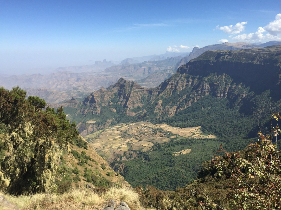 Simien Mountain Trekking and Tours景点图片