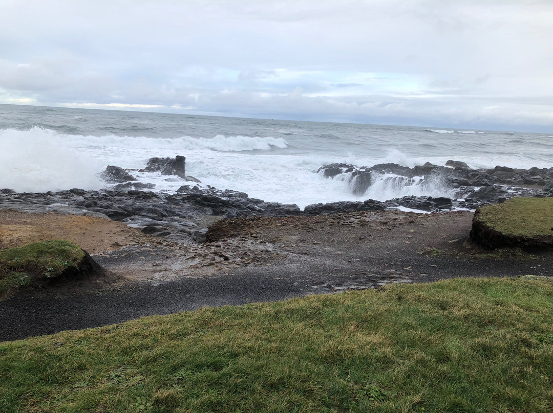 Fireside Motel主图