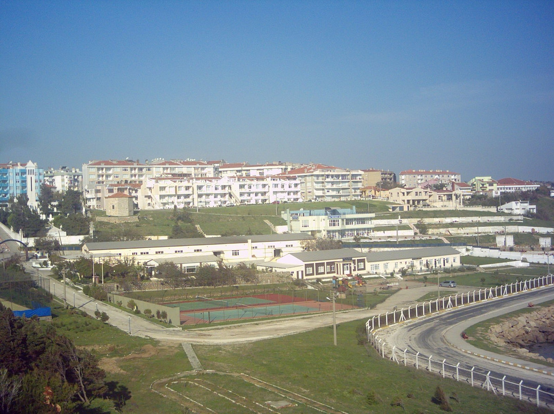 Hamzakoy Plaji景点图片