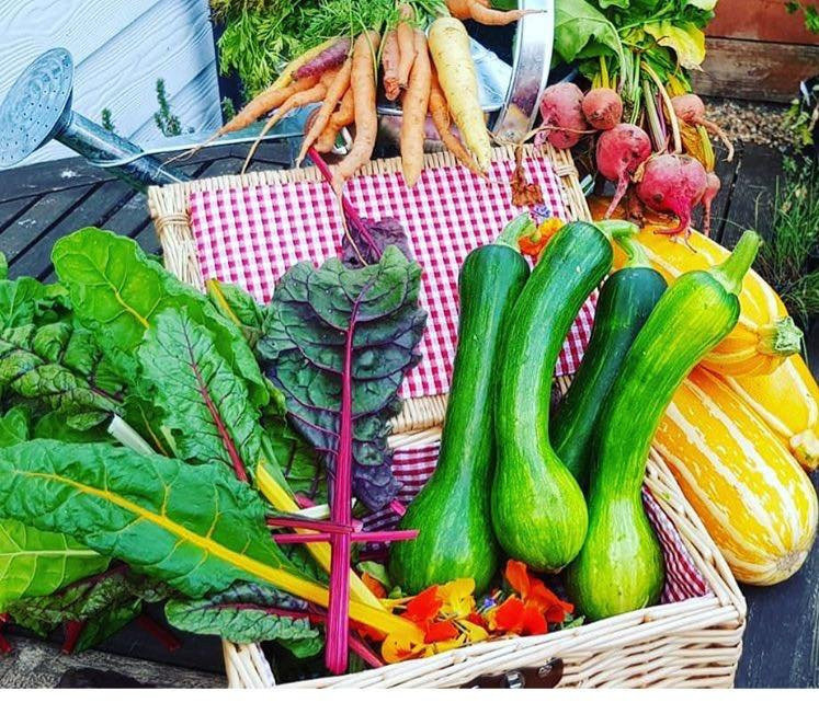 The Wonky Parsnip-Chartham必去景点