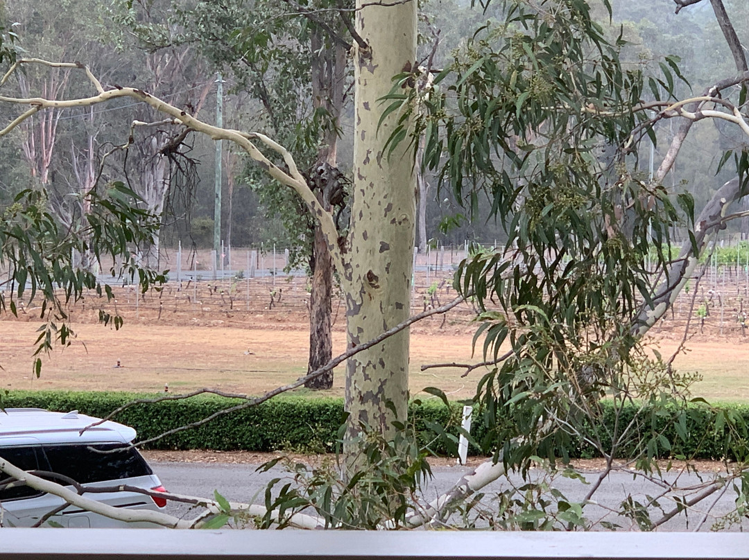 斯派瑟葡萄庄园酒店主图