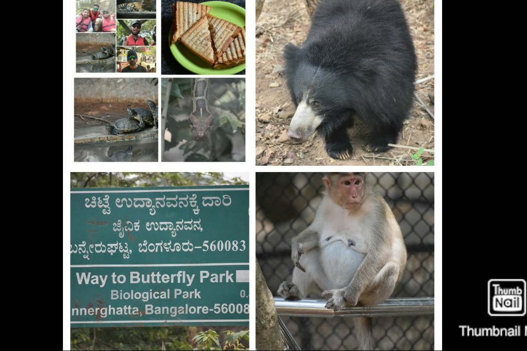 Bannerghatta Biological Park景点图片