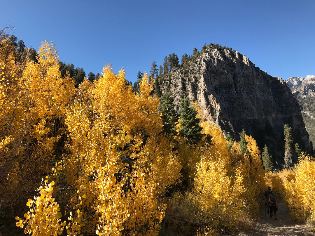 教堂石道-拉斯维加斯必去景点