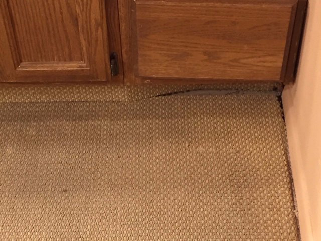 Omni Tucson National Resort & Spa主图