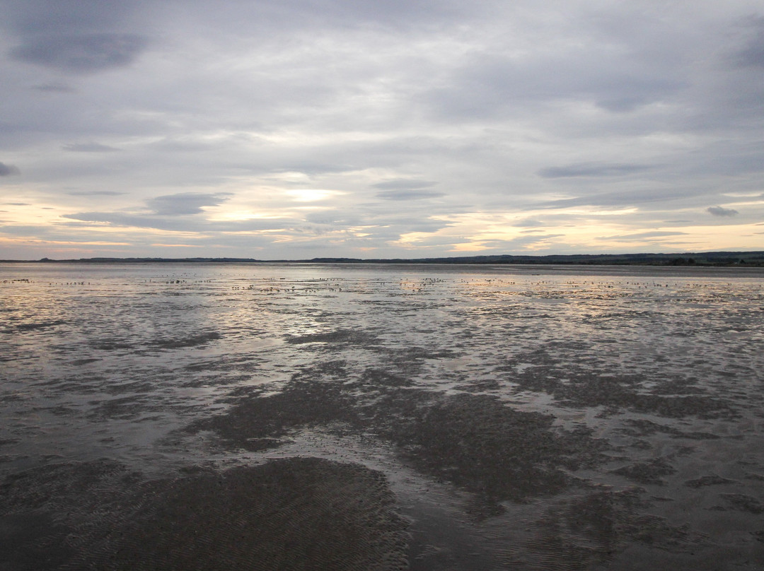 Holy Island Hikes景点图片
