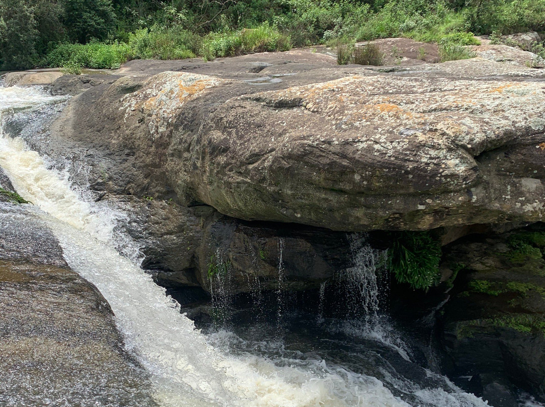 Karkloof Conservation Centre景点图片