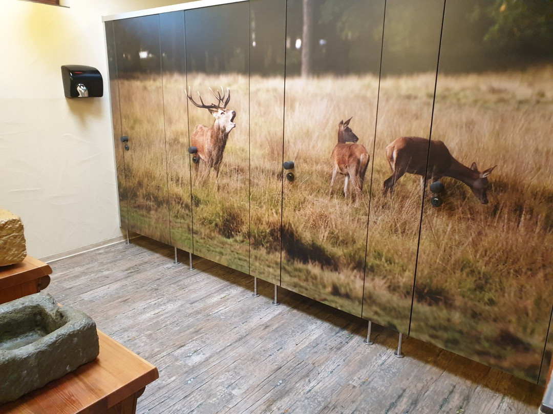 Erlebnispark Tripsdrill Natur-Resort主图