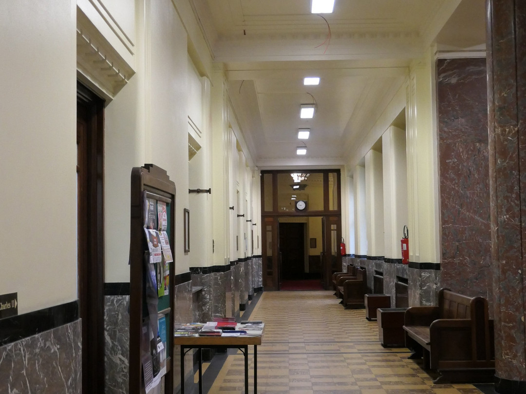 Hôtel de Ville (City Hall)景点图片