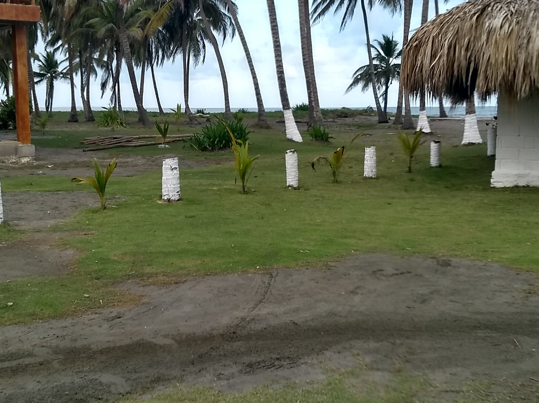 Ecohotel Kocoluu主图