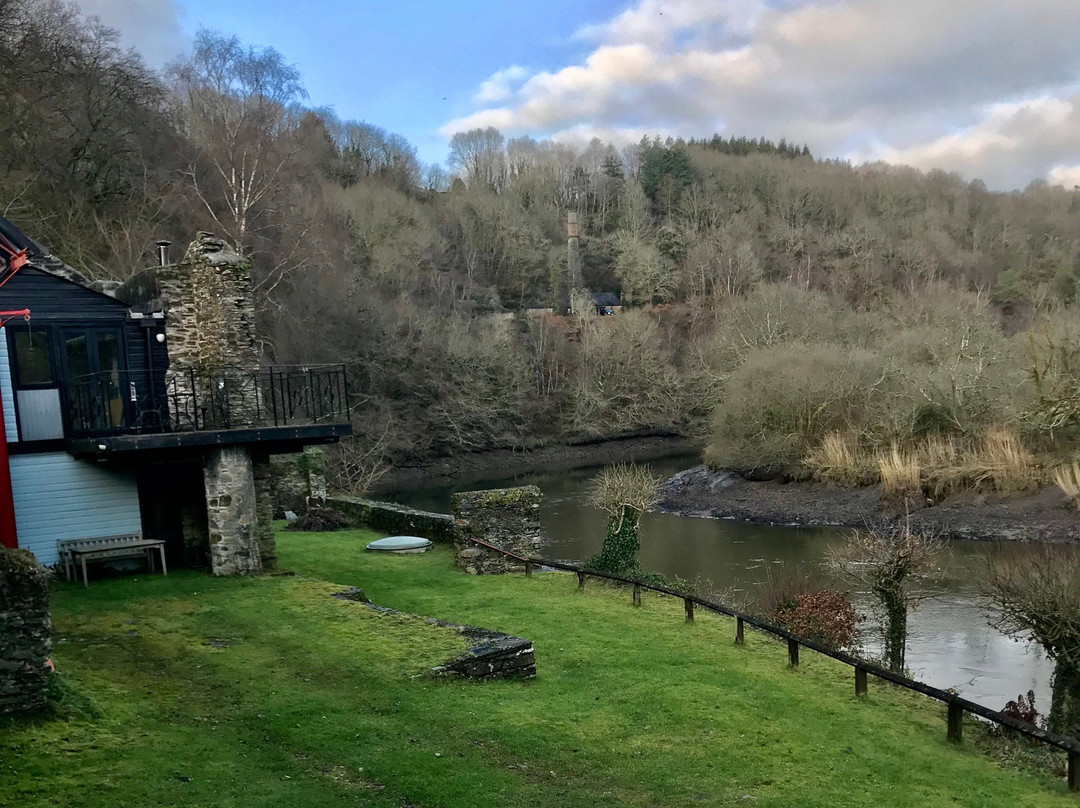 Cotehele to Calstock景点图片