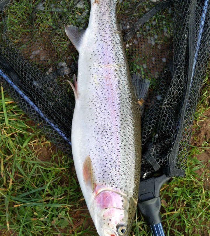 Kingfisher Trout Lake景点图片