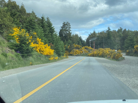 Circuito Grande-圣卡洛斯-德巴里洛切必去景点