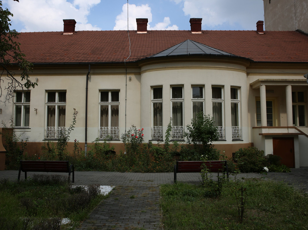 Aurel Lazar Memorial House景点图片