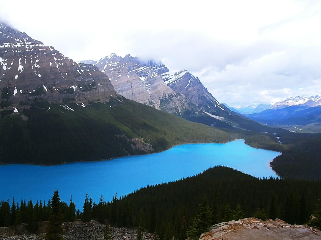Beautiful Vancouver Explorer Tour & Shuttle-温哥华必去景点