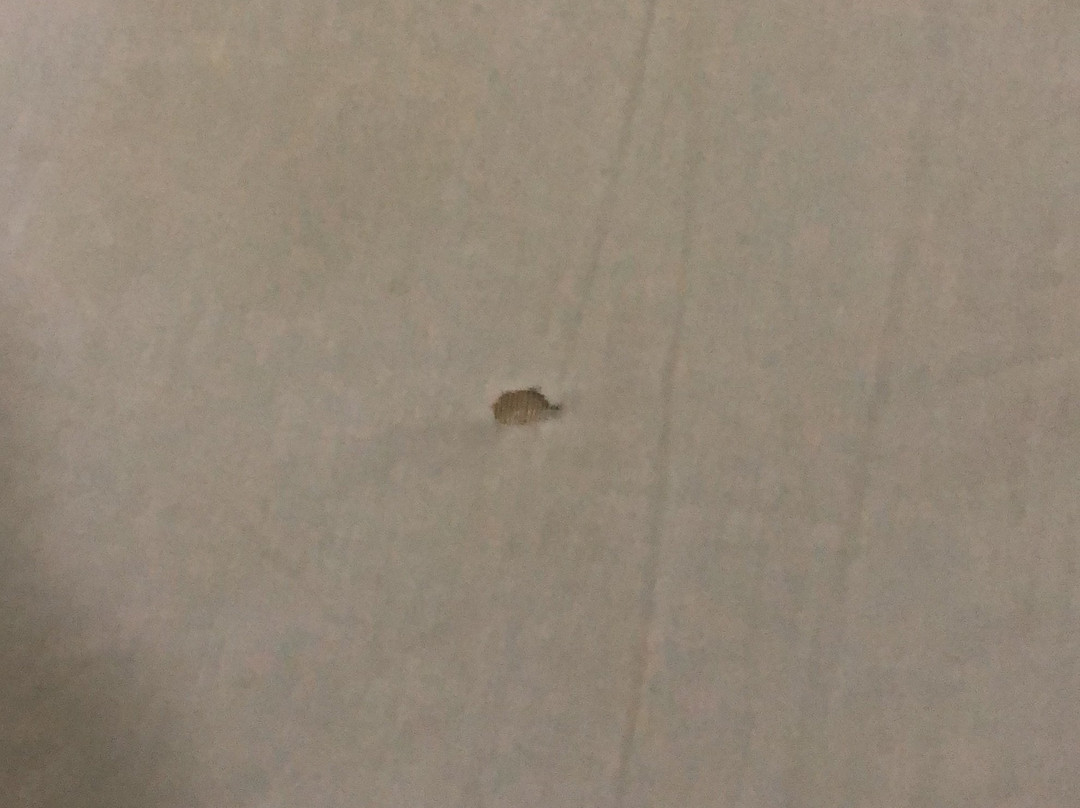 Pousada Dona Laura主图