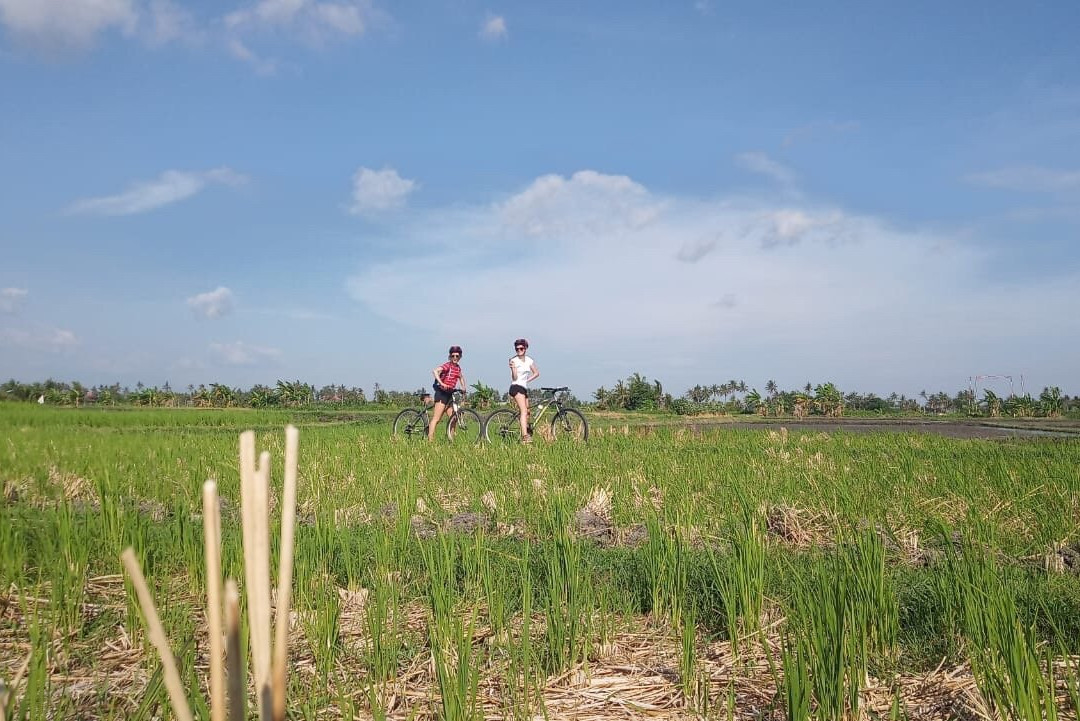 Bali Outdoor Adventures-Tanah Lot必去景点