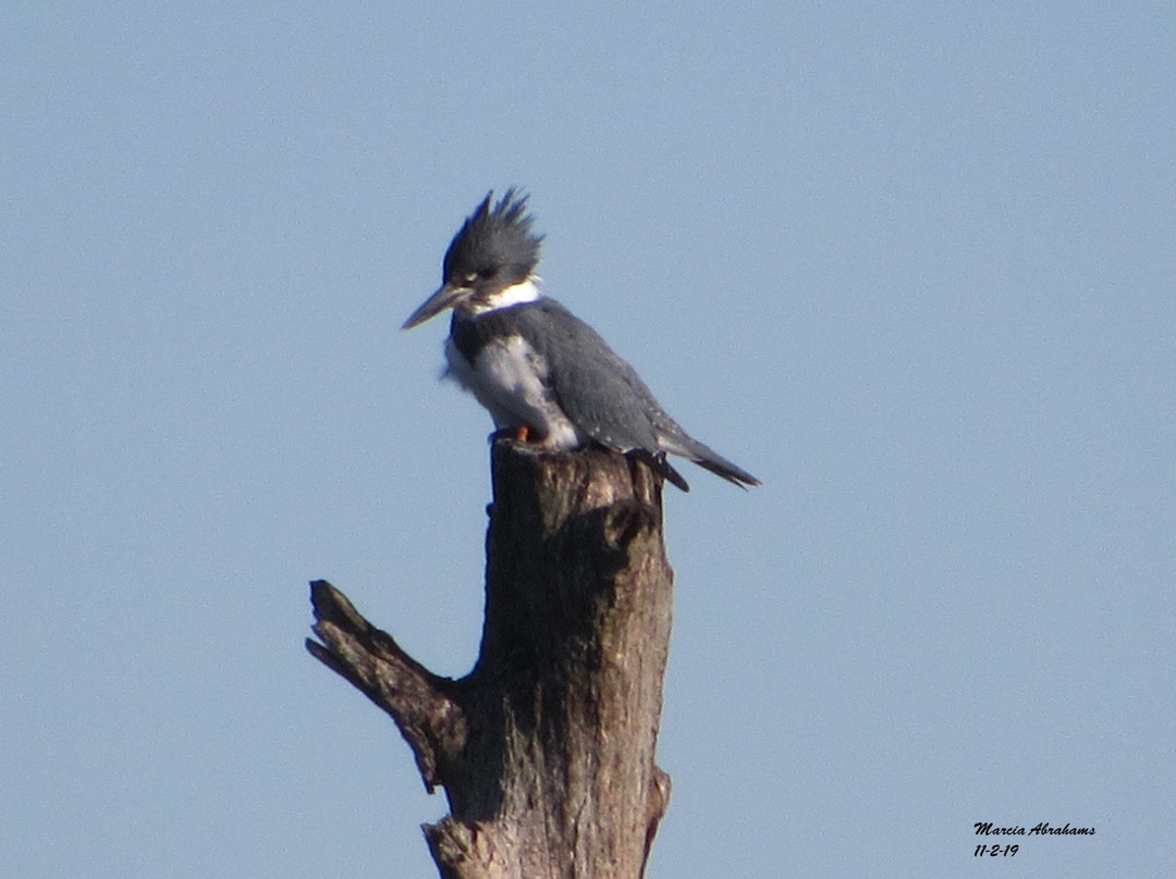 Marine Nature Study Area-Oceanside必去景点