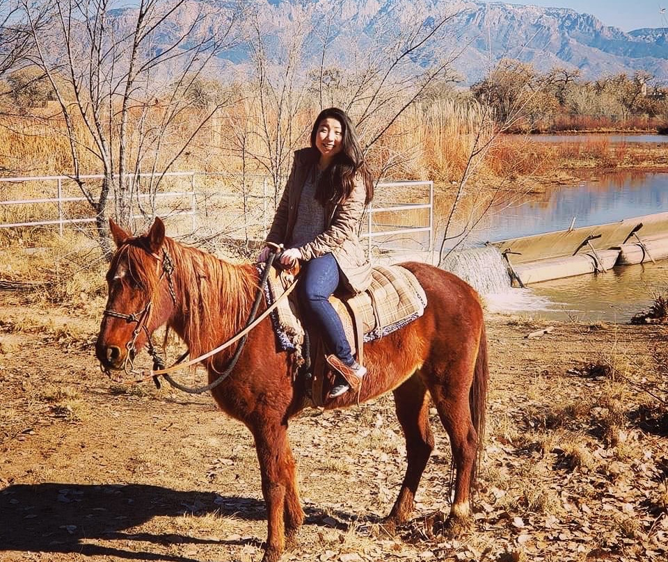 Running Horse Ranch-阿尔伯克基必去景点