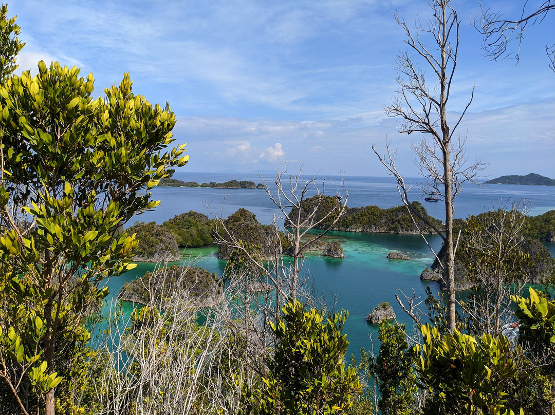 Pianemo Hill-四王岛必去景点