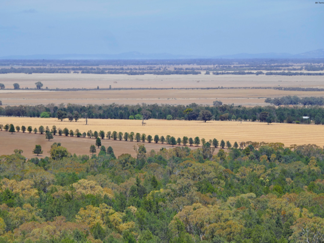 Terrick Terrick National Park景点图片