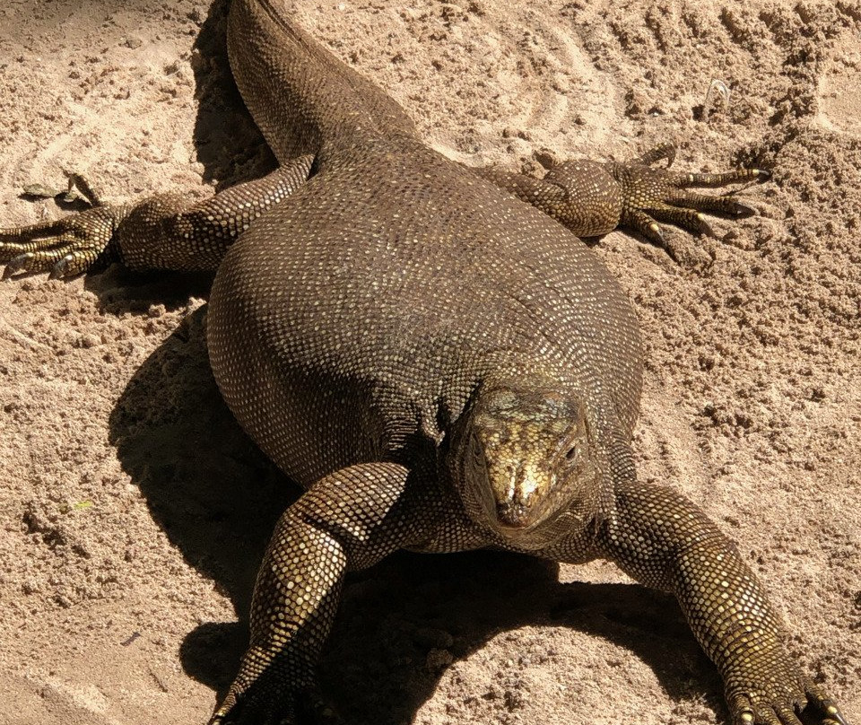 Medsye Travel & Tours-泰曼必去景点