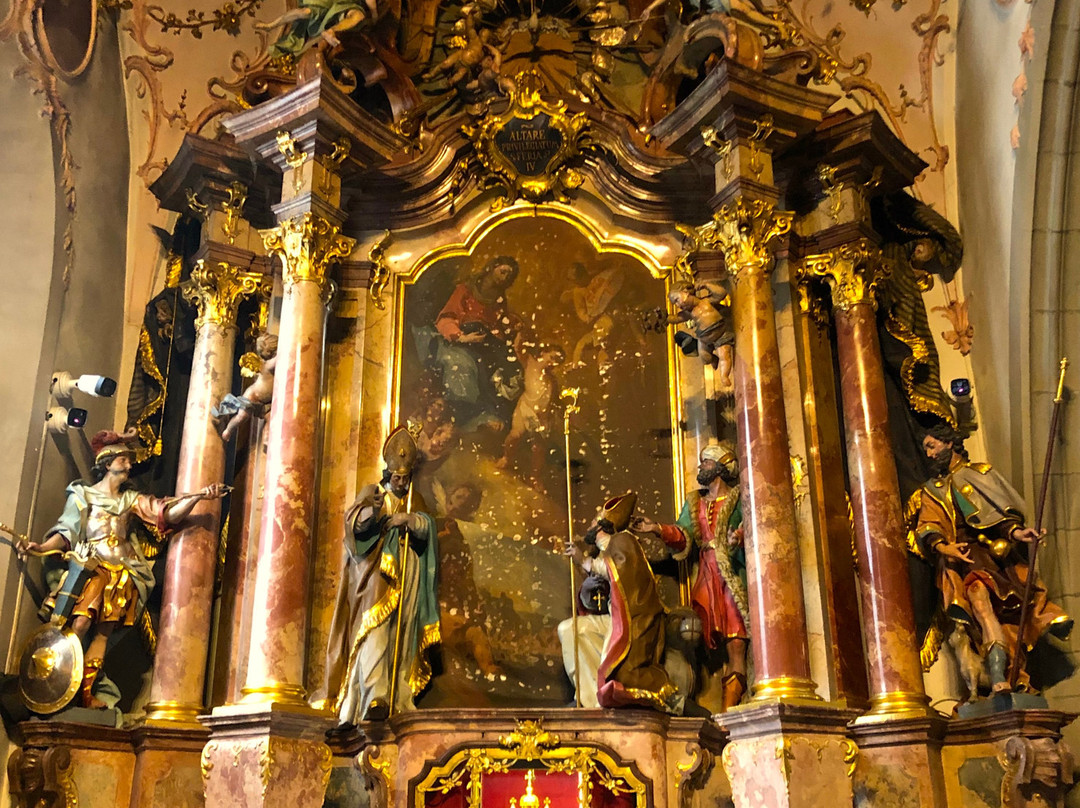 Münster Unserer Lieben Frau - St. Radolt Radolfzell景点图片