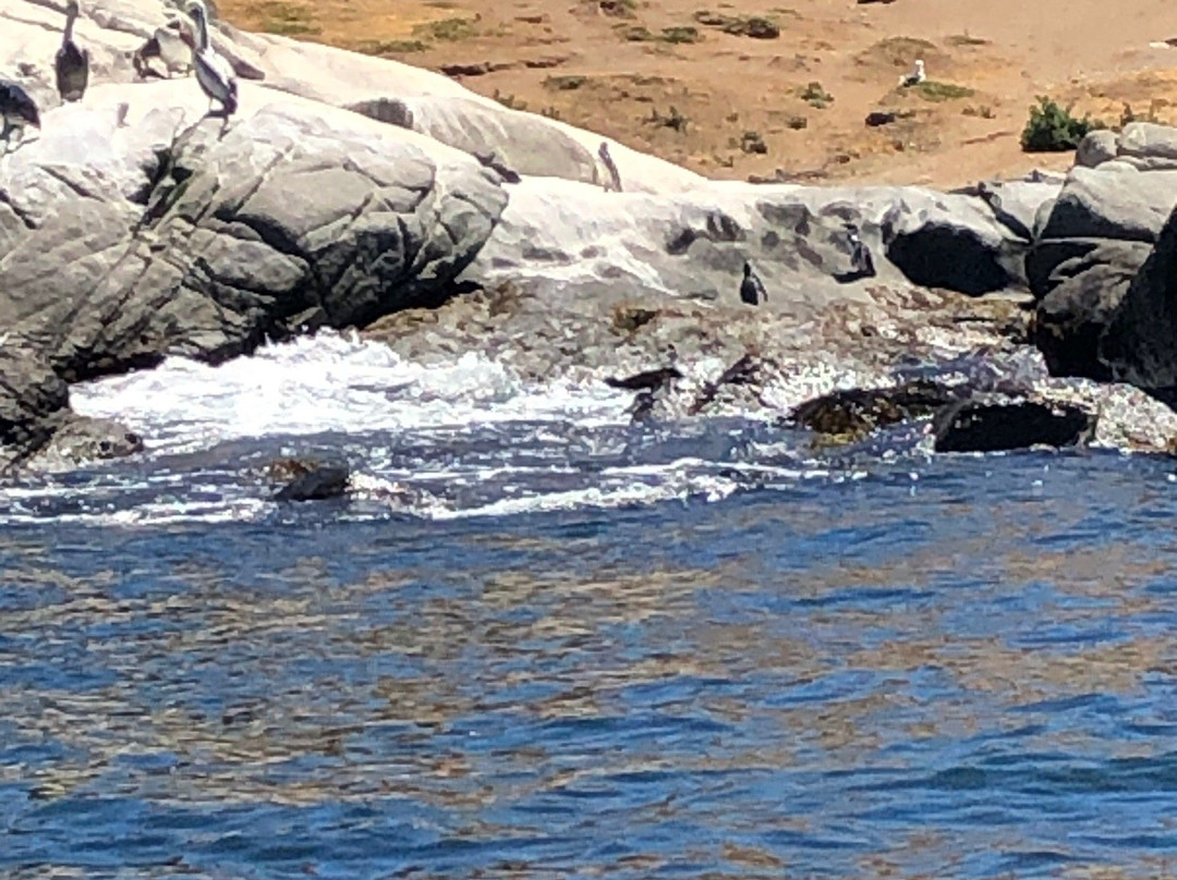 Isla Cachagua-萨帕亚尔必去景点